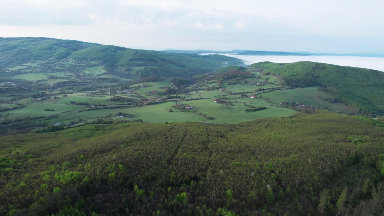 vuelo aéreo sobre el paisaje forestal en el bajo tatra, eslovaquia, adelante, día