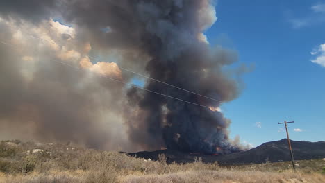enorme columna de humo saliendo del incendio forestal