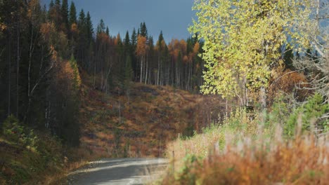 Narrow-unpaved-road-in-the-autumn-forest-in-Norway