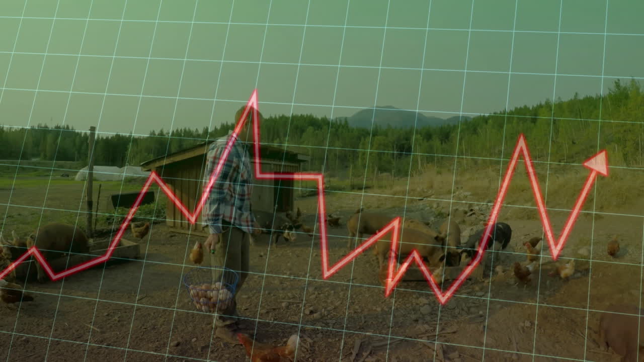 Male farmer gathering eggs in rural farmyard, overlaying farm tech grid and red line graph