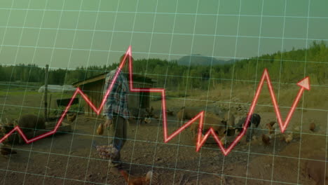 male farmer gathering eggs in rural farmyard, overlaying farm tech grid and red line graph