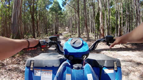 pov view driving a blue 4x4 quad at vpc spargo plantation, australia