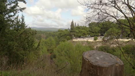 Friedhof,-Der-Hinter-Bäumen-Auftaucht,-Schuss-Nach-Oben,-Befindet-Sich-In-Kifissia,-Griechenland