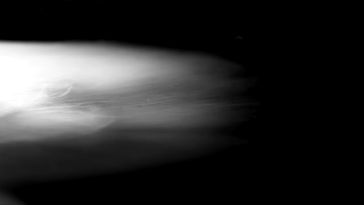 색 기어다니는 안개