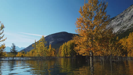 mirror reflections on abraham lake during fall season in alberta, canada