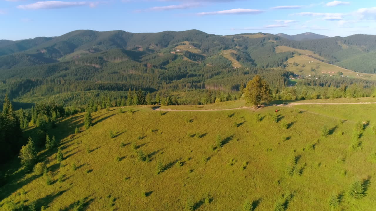 Beautiful mountains and cellist. Musician is sitting near the tree with a large musical instrument and performing music on green mountain landscape. Aerial view.