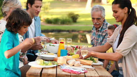 extended family having an outdoor lunch