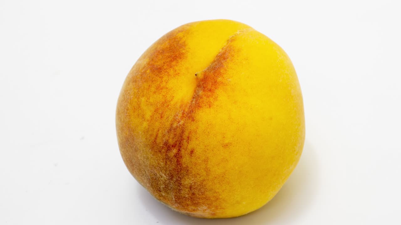 lapso de tiempo de descomposición del melocotón sobre un fondo blanco, el proceso de descomposición y descomposición, período de rodaje de 10 días. inversión de tiempo, bucle de video