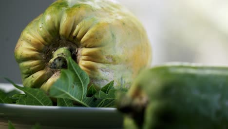 Close-up-Ripe-yellow-papaya-with-dark-spots-paw-paw-spinning-on-a-rotating-platform-displaying-it's-beautiful-and-unique-spots-and-skin-vegan-vegetarian