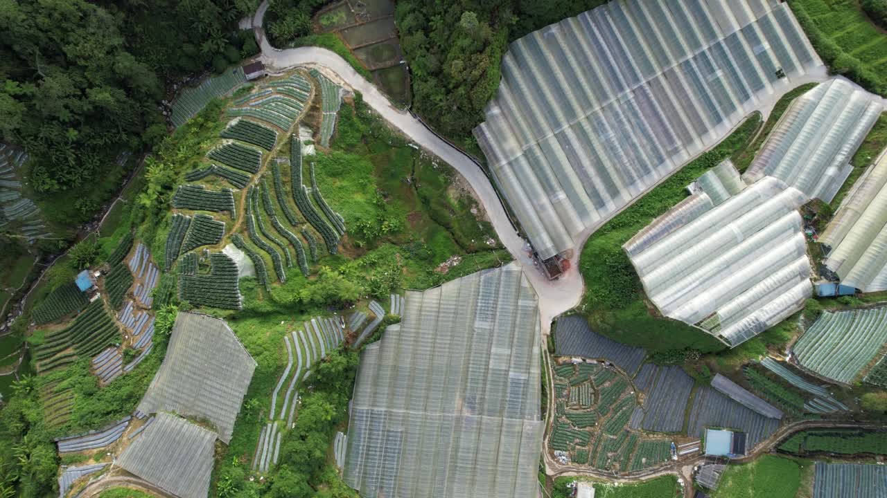 말레이시아의 카메론 하이랜드 지역 내의 브린창 지역의 일반 풍경