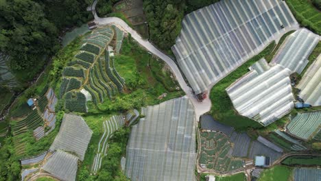 general landscape view of the brinchang district within the cameron highlands area of malaysia