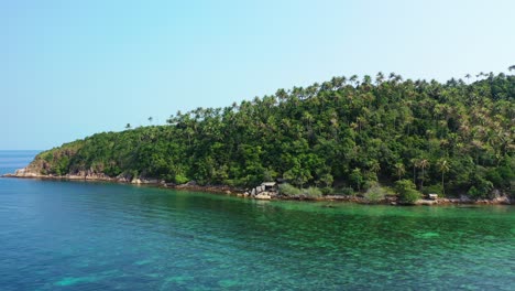 vegetación de bosque tropical en la isla deshabitada, filipinas