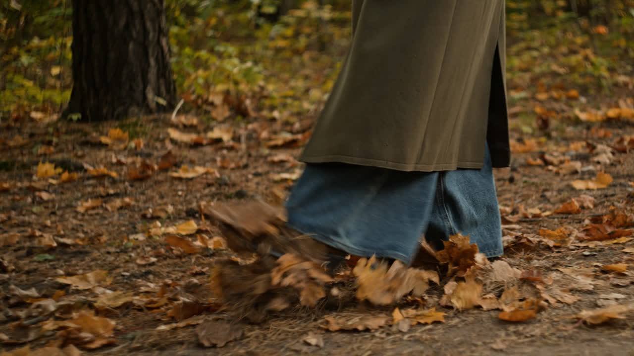 Person walking on fallen leaves in autumn forest