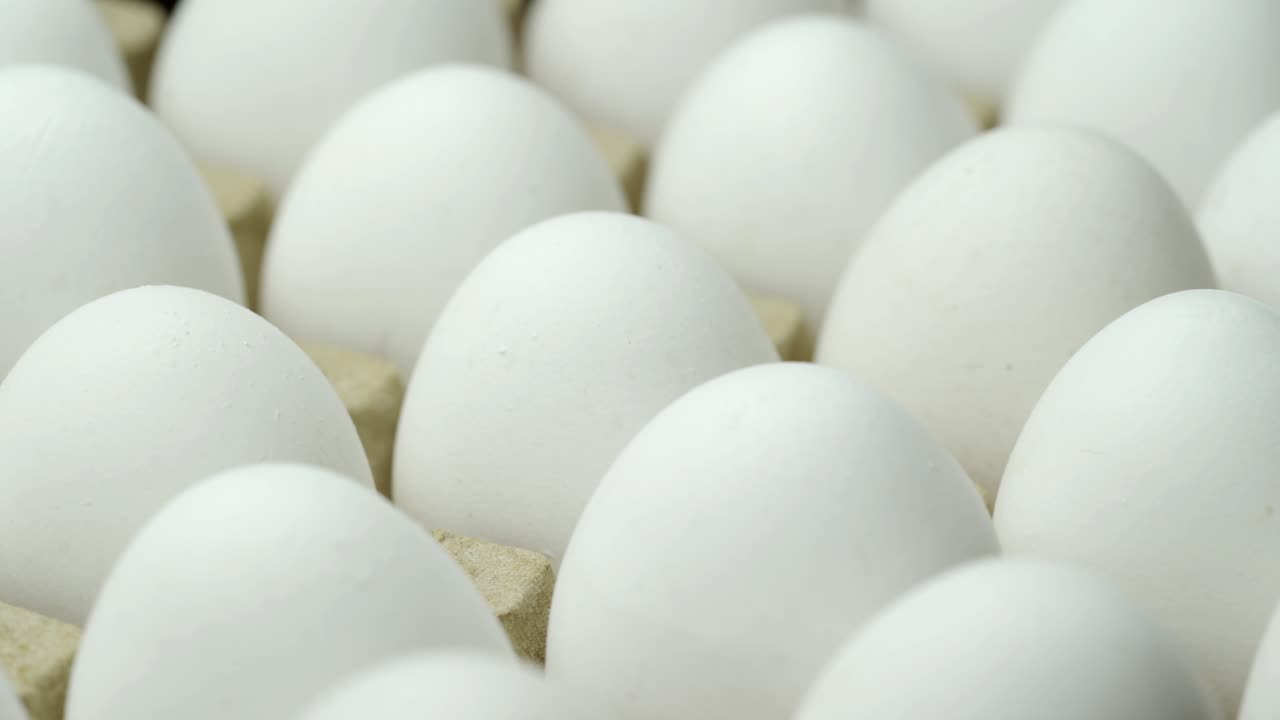 White chicken eggs. Chicken eggs in the container