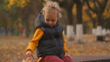 charming light-haired toddler is playing with dry yellow leaves in park at autumn day sitting on bench happy little child having fun at walk