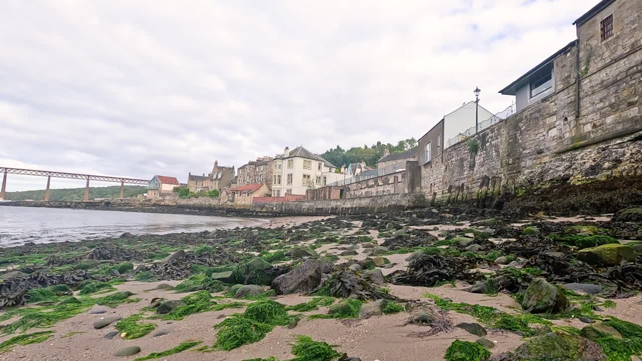 rocas cubiertas de algas a lo largo de la costa
