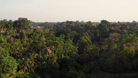 Der-Ubud-Ridge-Walk-Während-Des-Sonnenuntergangs.-Luftaufnahme