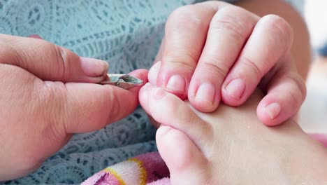 pedicurist master making pedicure cutting cuticle with nail tongs on client's toes in a beauty salon-3