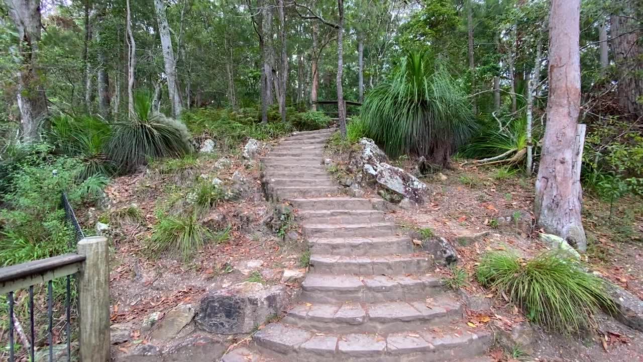 빽빽한 정글 열대우림으로 위쪽으로 구불구불한 신비한 돌계단의 영화적이고 매우 부드러운 장면