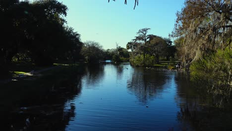 Traquil-Lagoon-at-City-Park-with-active-birds-and-beautiful-blue-skies