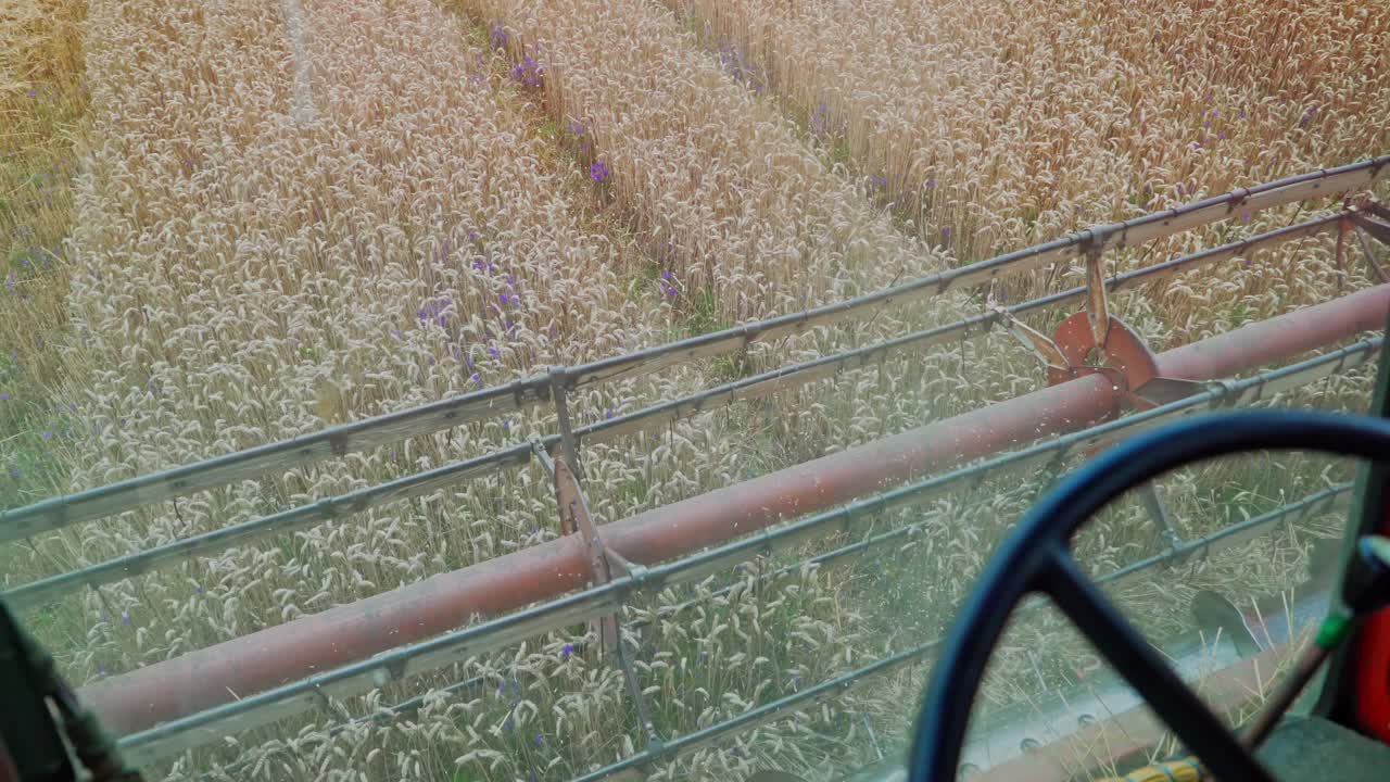 Harvest time. Combine harvester working in a wheat field