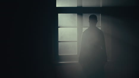 silhouette by window