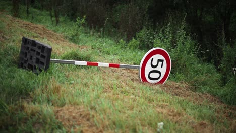 señal de límite de velocidad de 50 kilómetros con poca profundidad de campo se encuentra al lado de la carretera en un campo cubierto de hierba