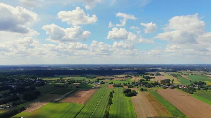 Bird's eye view of agricultural area and green wavy fields in sunny day