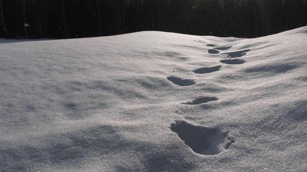 Fiocchi di neve al rallentatore che cadono su impronte fresche