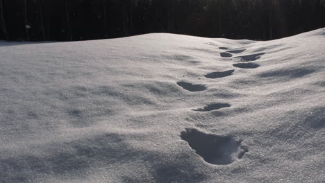 Los-Copos-De-Nieve-En-Cámara-Lenta-Caen-Sobre-Huellas-Frescas