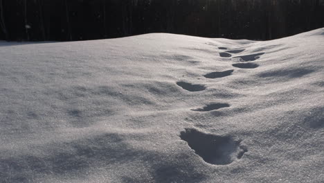 slow motion snow flakes falls on fresh footprints