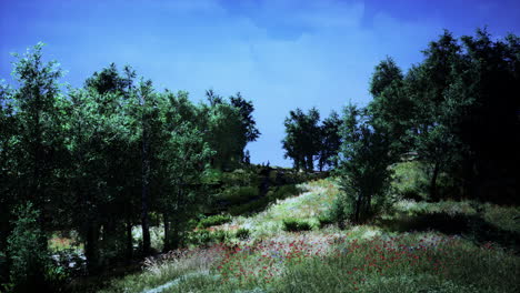hermoso paisaje panorámico del valle de la montaña