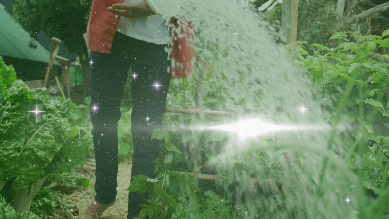 Giardiniere solleva un annaffiatoio sopra le aiuole, causando scintille, versando acqua che nutre le piante.
