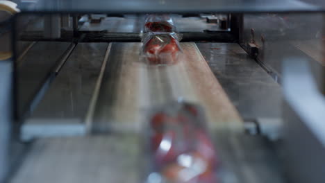 máquina de embalaje de tomates cajas de plástico en movimiento transporte de verduras en la fábrica