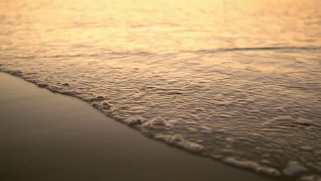 sea ​​waves with foam on wet sand of the shore, in beautiful evening light