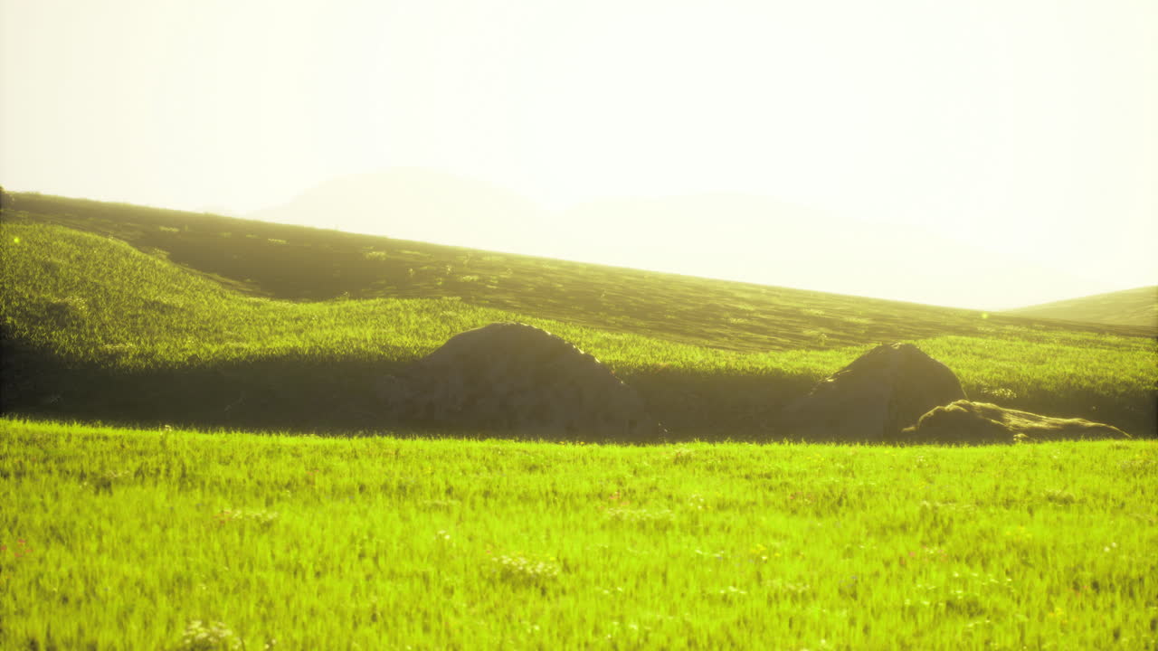 Green hills under bright sunlight create a serene landscape in nature