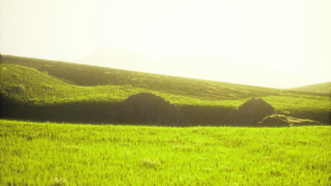 green hills under bright sunlight create a serene landscape in nature