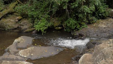 Kleiner-Wasserfall-Mit-Sauberem-Wasser,-Das-Im-Bergwald-Von-Lamington-Fließt---Gold-Coast,-Qld,-Australien