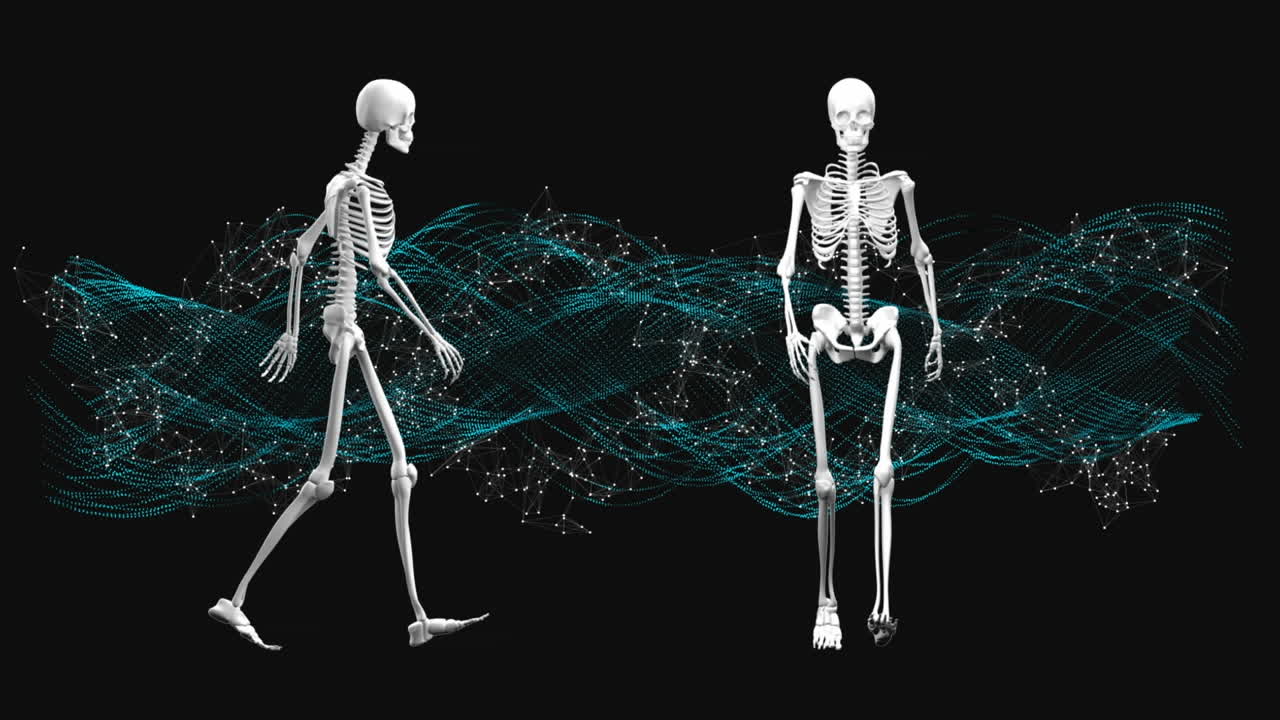 esqueletos caminando en el lugar