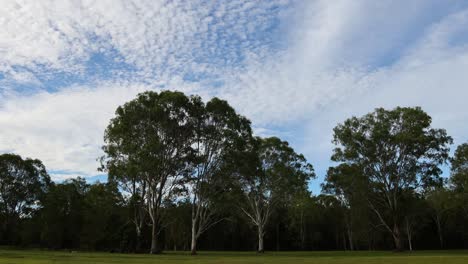 el lapso de tiempo de las nubes que se mueven sobre el bosque tranquilo