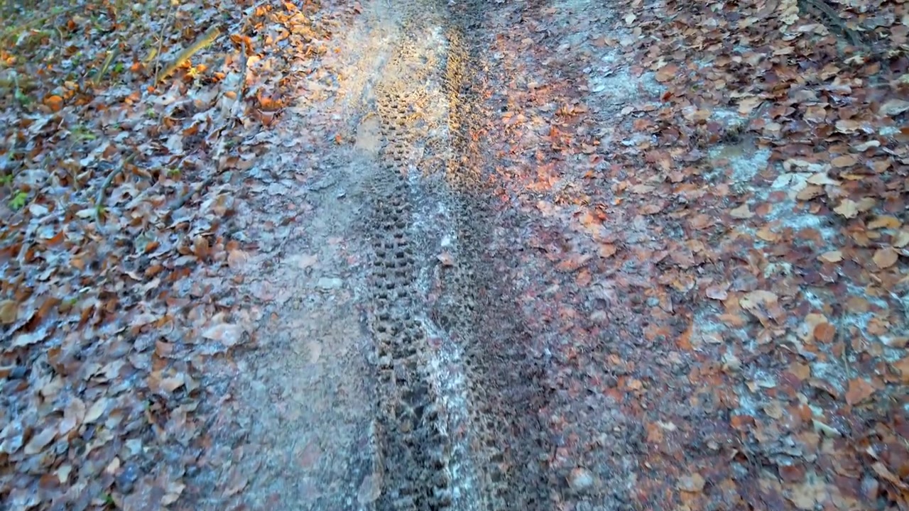 Un sentiero nel bosco e foglie cadute coperti di brina invernale.