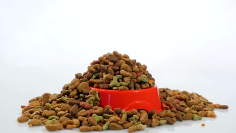 dry food for cats and other pets. rotates, studio shooting