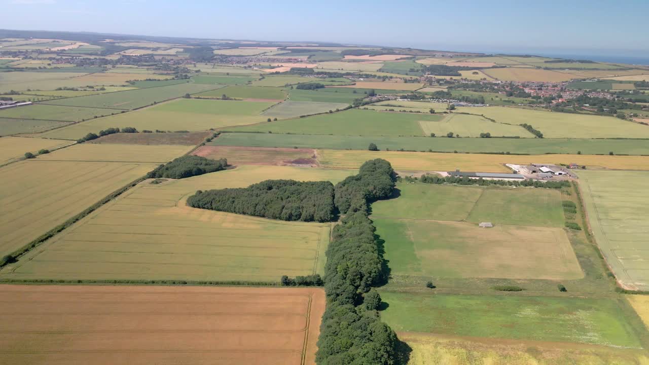 Aerial view of yellow and green wheat crop fields on agricultural farm land