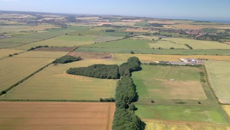 Aerial-view-of-yellow-and-green-wheat-crop-fields-on-agricultural-farm-land