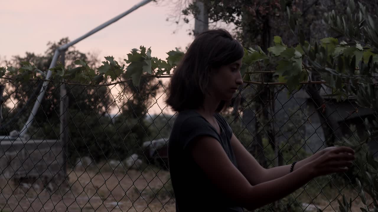 niña tocando hojas de vid, hora roja, cinemática