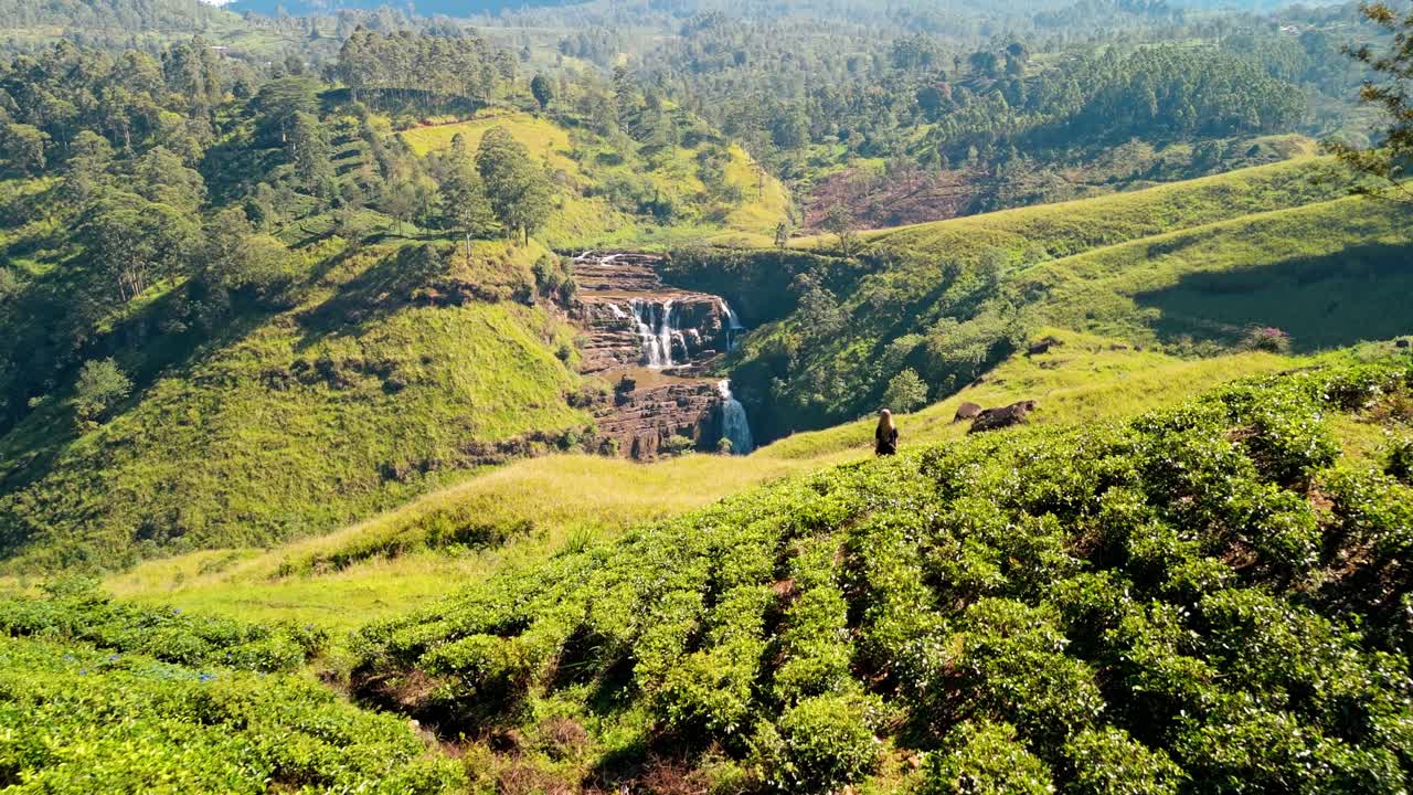 A serene moment captured from above as a woman stands amidst the lush tea plantations of Nuwara Eliya, gazing at the majestic Saint Clairs Waterfalls in the distance.