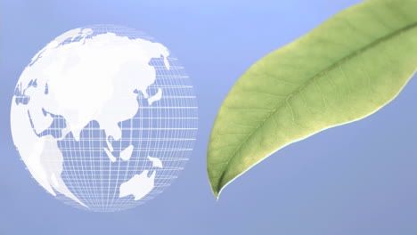 digital animation of a rotating globe and a leaf