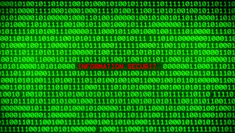 información de seguridad que revela en la pared de código binario verde entre el fondo de la matriz de datos binarios aleatorios