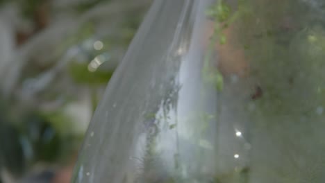 Floral-workshop-with-tiny-ecosystems-in-the-terrariums-close-up-of-the-ready-made-glass-jars-fast-trucking-shot