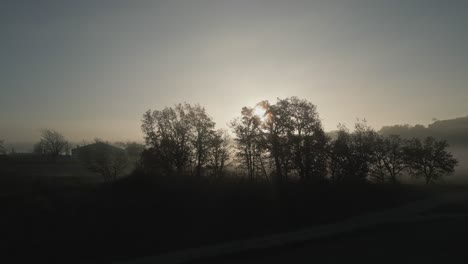 establishment drone crane shot of a foggy scenery in rural area with some trees